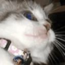 fawnywany's profile picture
