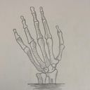 seacorpse's profile picture