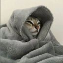 el_nikiv's profile picture