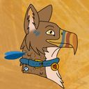 akashrairyder's profile picture