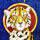 wildivider's profile picture