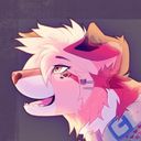 splashwolfie's profile picture