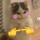 funiepeach's profile picture