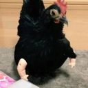 exzerass's profile picture