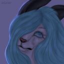 notcutefox's profile picture
