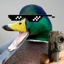 grinight's profile picture