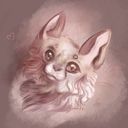 derufy's profile picture