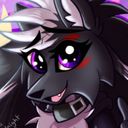 keikonimidnight's profile picture