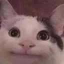 frogdrawsstuff's profile picture