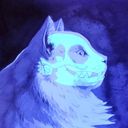 doiha's profile picture