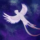 aokumo_art's profile picture