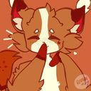 fluffy_cosmos's profile picture