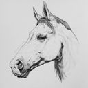 horseink's profile picture