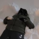 preservedplum's profile picture