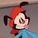 monte's profile picture
