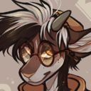 teakippers's profile picture