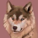 panala's profile picture