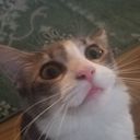 heck_its_alexa's profile picture