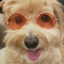 phy's profile picture