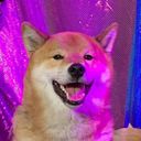 arieesespieces's profile picture