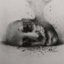 lefreir's profile picture