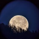 chaos_within's profile picture