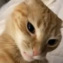 0chocomilk's profile picture