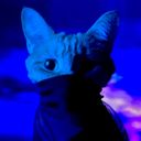 lougonnafight's profile picture