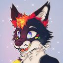 mangofox's profile picture