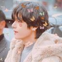 akatachik's profile picture