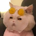 marie_sensei's profile picture