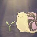 snailshell's profile picture