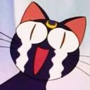 penn's profile picture