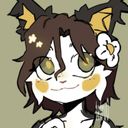 risu13's profile picture