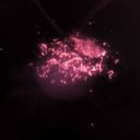 comedtorke's profile picture