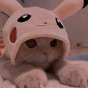 helia's profile picture