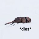 dylansempai's profile picture