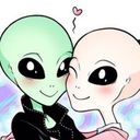 torihanabi's profile picture