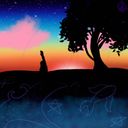 nightexstar's profile picture
