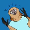 aurorapatch's profile picture