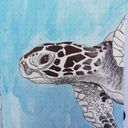 bulletjournalbyvivi's profile picture