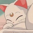 e_loise__'s profile picture