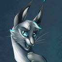 scourrel's profile picture