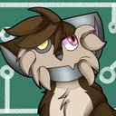 scivxlly's profile picture