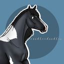 noodleedoodles's profile picture