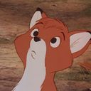 shrimpy_brownies's profile picture