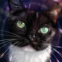momodoesart's profile picture