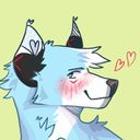 analog_dog's profile picture