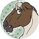 banjo_horseman's profile picture