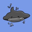 manta's profile picture